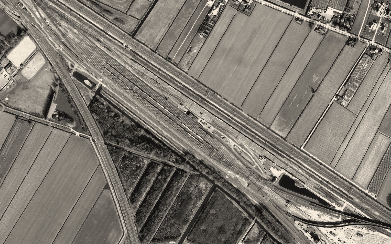 Aerial view of a rail marshalling yard, freight trains fanned across the tracks: coordination made visible